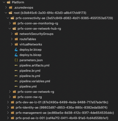 Repository Structure